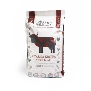 Czarna krowa w kropki bordo